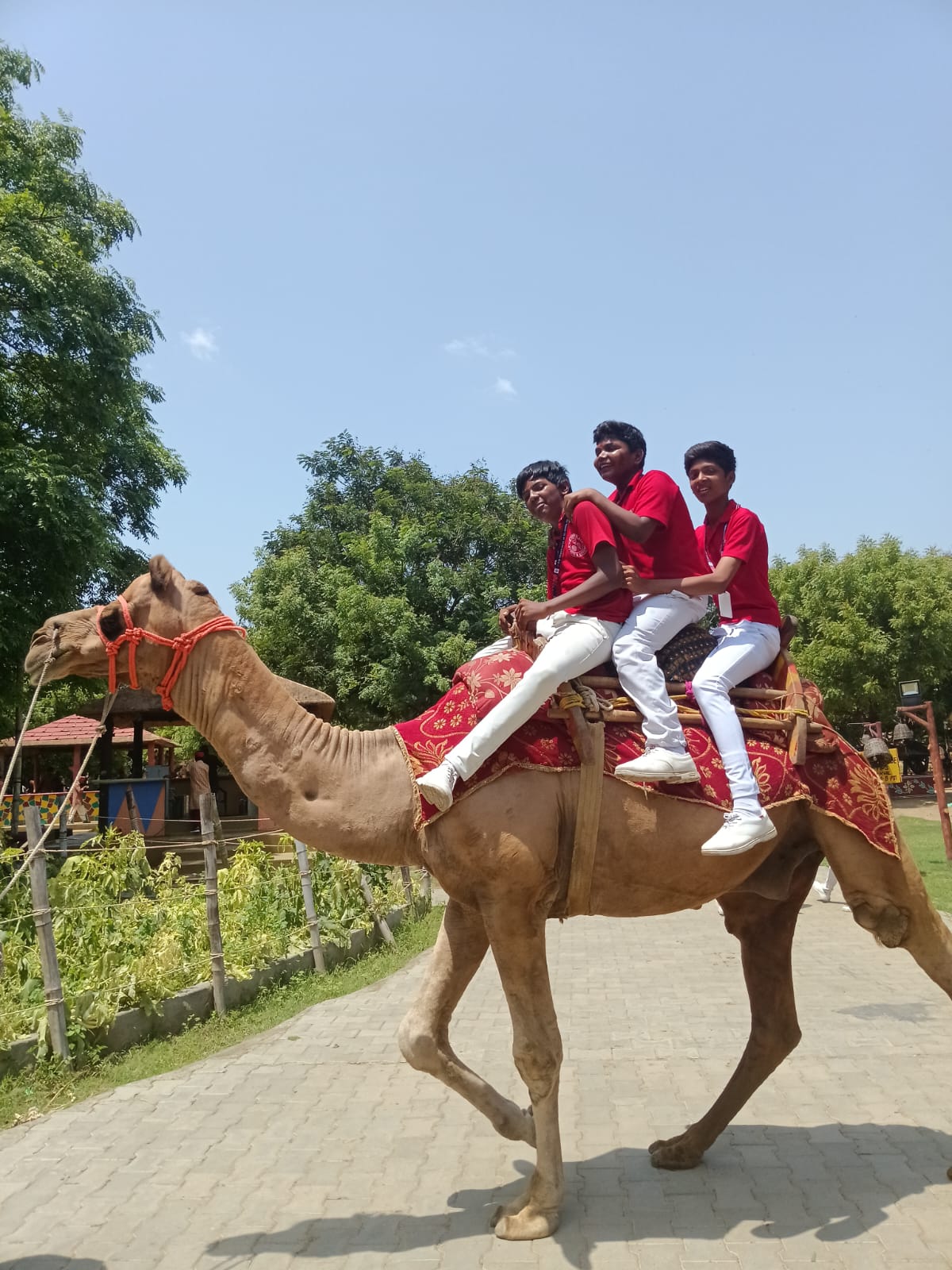 Field Trip
