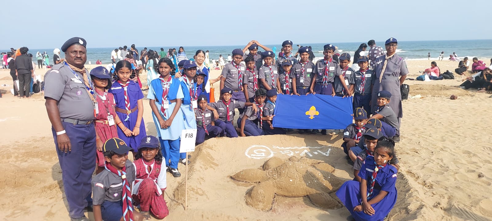 Sea Turtle Walk
